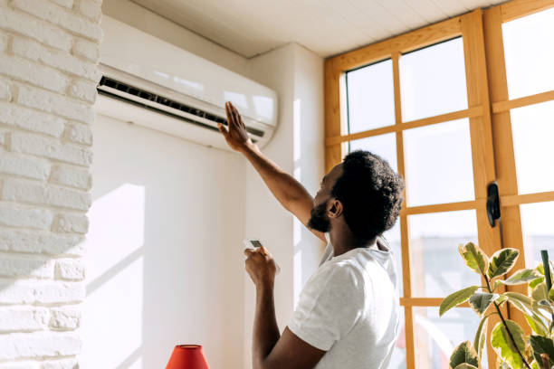 Best HVAC Cleaning Services  in Somonauk, IL
